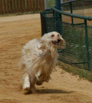 Training Mai11.jpg (42009 Byte)