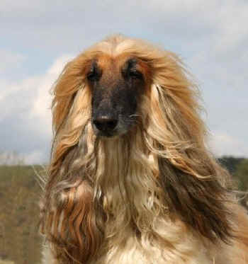 Maruug.jpg (31538 Byte)