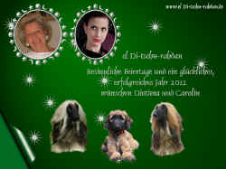 dio-kennel-version-1.jpg (235098 Byte)