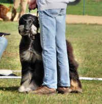 Xanthippe Sa 12.jpg (104989 Byte)