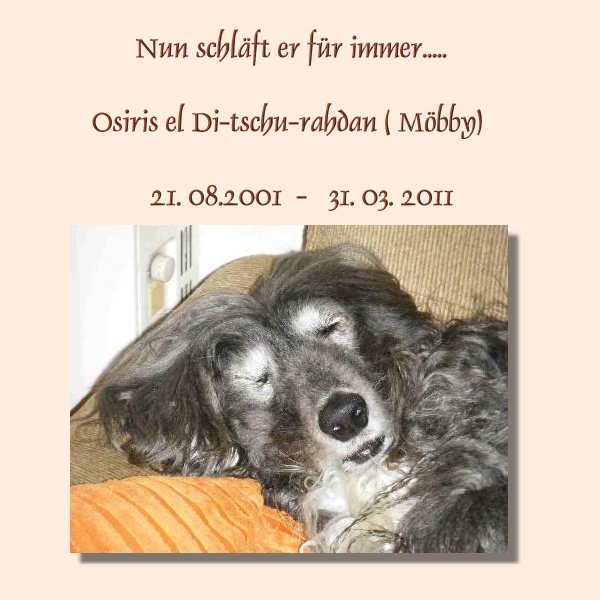 os-bild-1.jpg - nun schläft er....