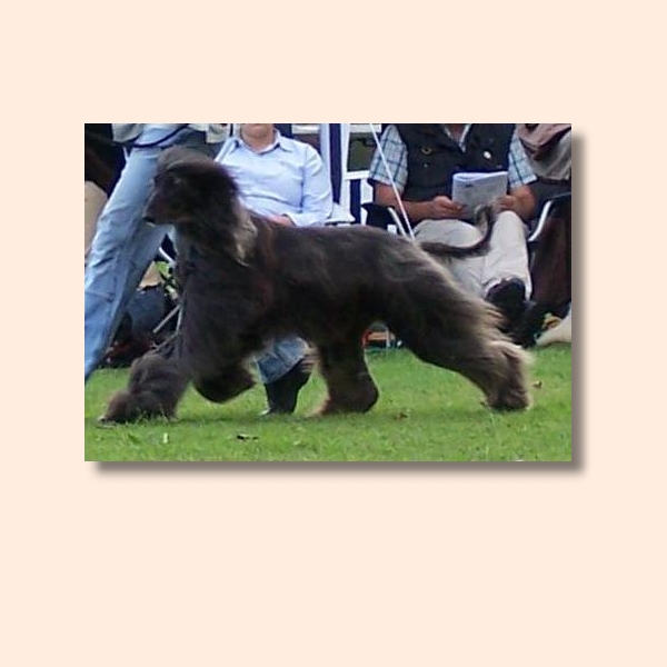 os-bild-11.jpg - Freiburg im Ring