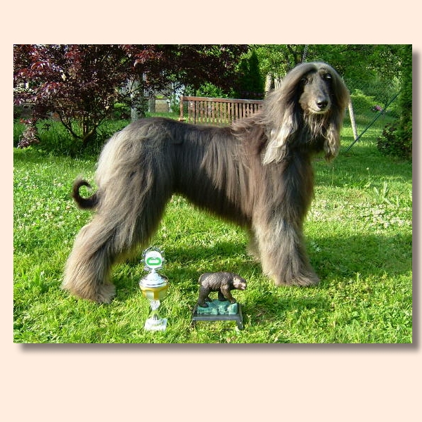 os-bild-12.jpg - Osiris, Gewinner Bermatinger Bär 2006