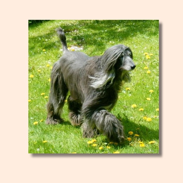 os-bild-15.jpg - Mai 2009
