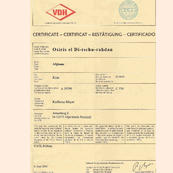 os-bild-16.jpg - Leistungsurkunde Cousring