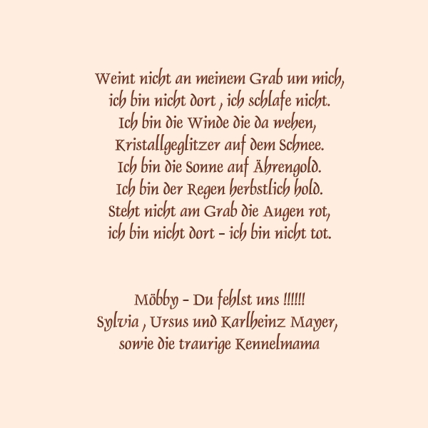 os-bild-21.jpg