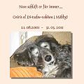 os-bild-1