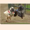 os-bild-10
