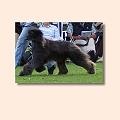 os-bild-11