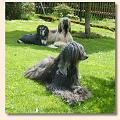 os-bild-14