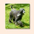 os-bild-15