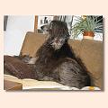 os-bild-19