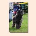 os-bild-7