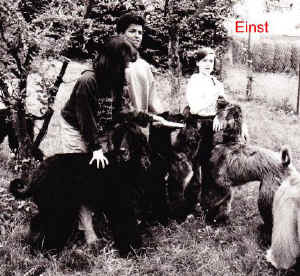 Auslauf 2.jpg (69125 Byte)