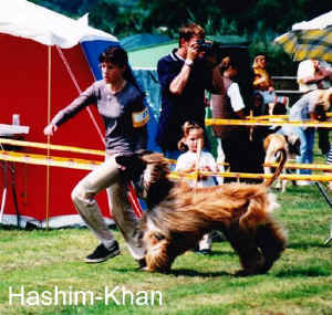 Hashim-Khan.jpg (56422 Byte)