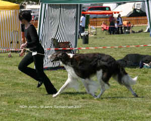 Sachsenheim 2007Asmo 10 Jahre.JPG (206739 Byte)