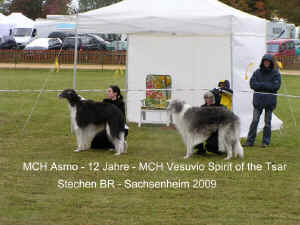 Sachsenheim 2009, Asmo 12 J., Stechen BR.JPG (72015 Byte)