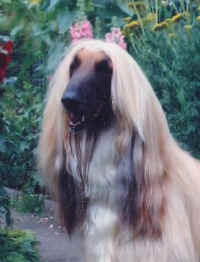 Maruug K Sept06.JPG (22166 Byte)