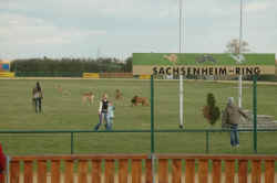 DSC_0266_700x465.JPG (40079 Byte)