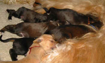 1 Woche 2.jpg (32231 Byte)