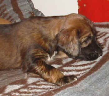 4 Wo 2.jpg (21043 Byte)