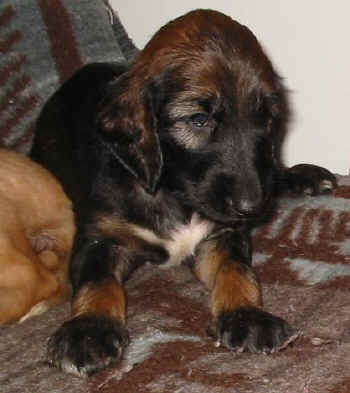 4 Wo 5.jpg (30186 Byte)