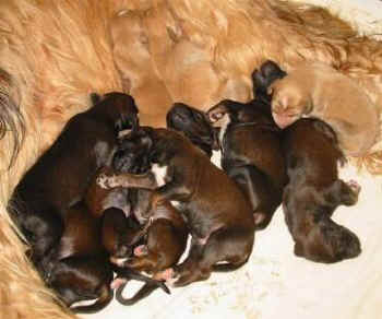 5Tag 9.jpg (21577 Byte)