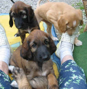 6 Wo 3.jpg (62472 Byte)