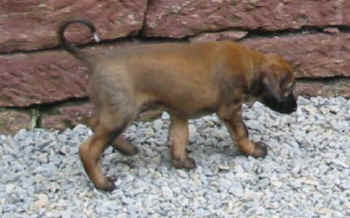 6 Wo  Ru 3.jpg (27116 Byte)